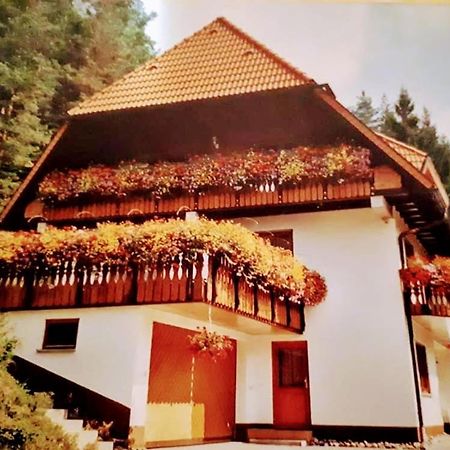 Ferienwohungen Im Kuchersbach 霍恩伯格 外观 照片