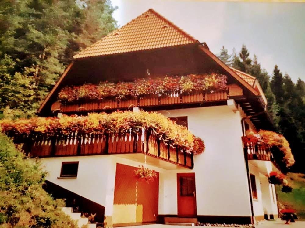 Ferienwohungen Im Kuchersbach 霍恩伯格 外观 照片