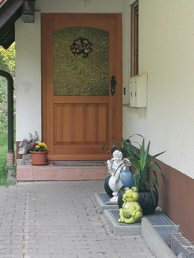 Ferienwohungen Im Kuchersbach 霍恩伯格 外观 照片