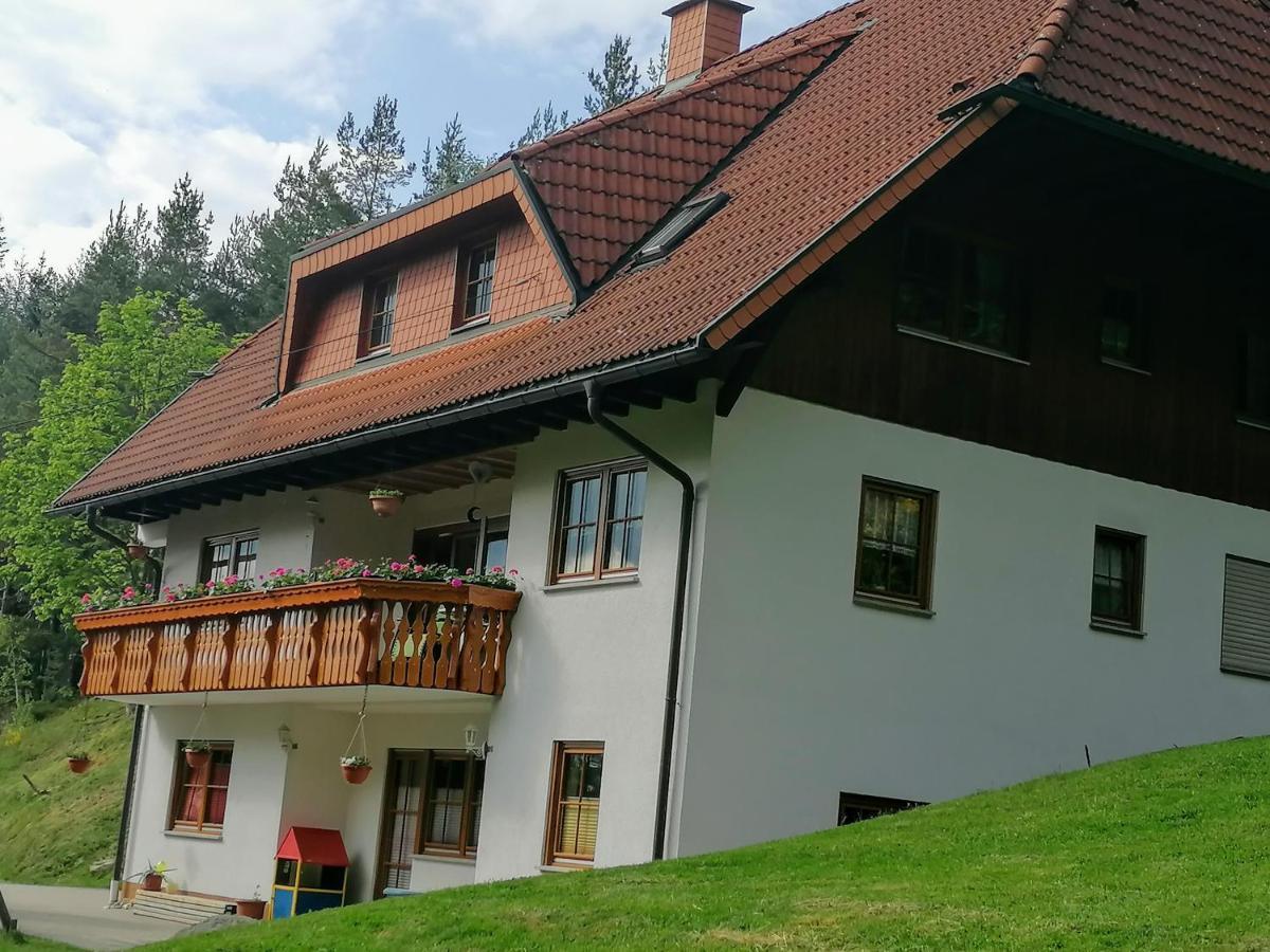 Ferienwohungen Im Kuchersbach 霍恩伯格 外观 照片
