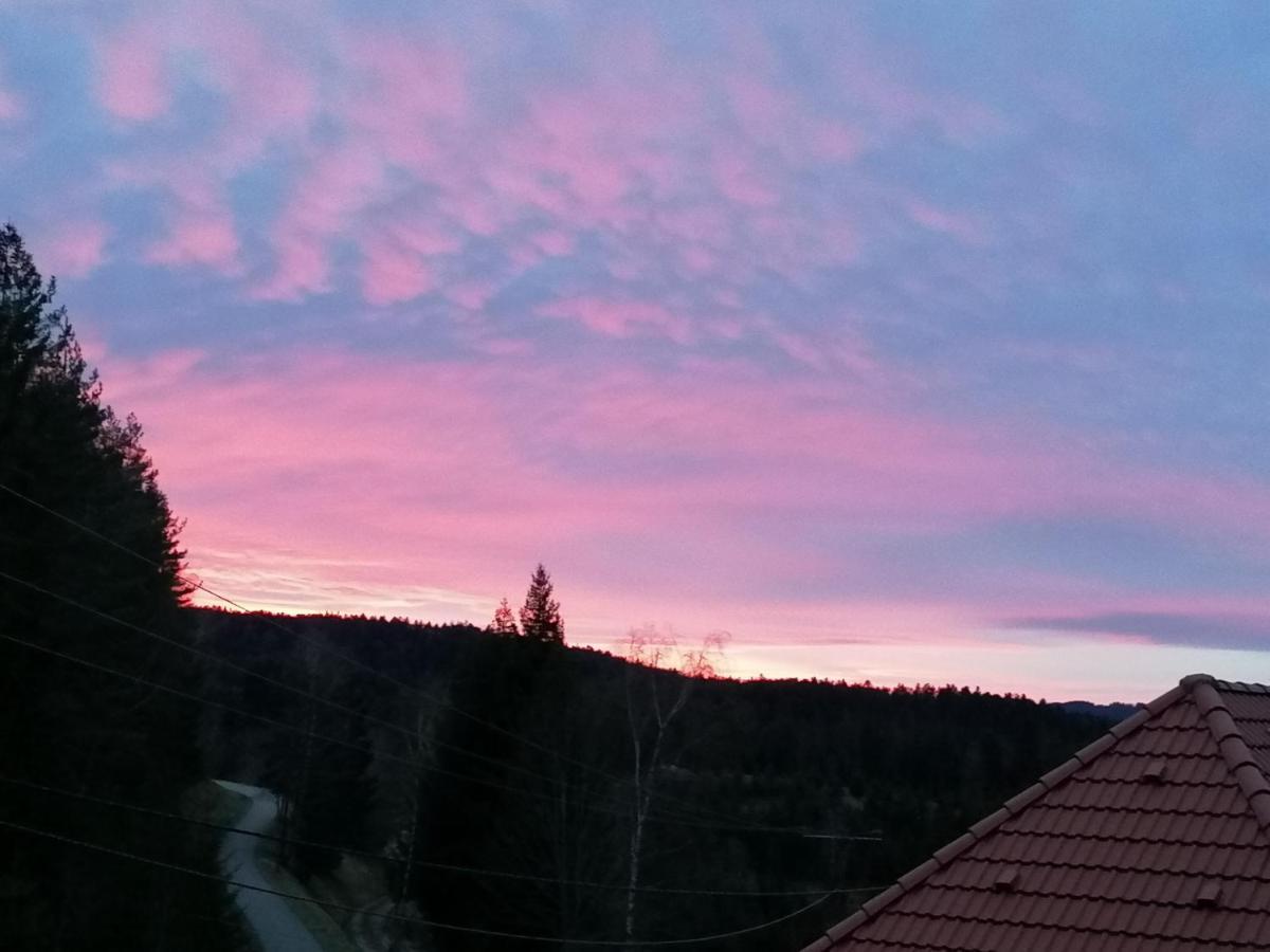 Ferienwohungen Im Kuchersbach 霍恩伯格 外观 照片