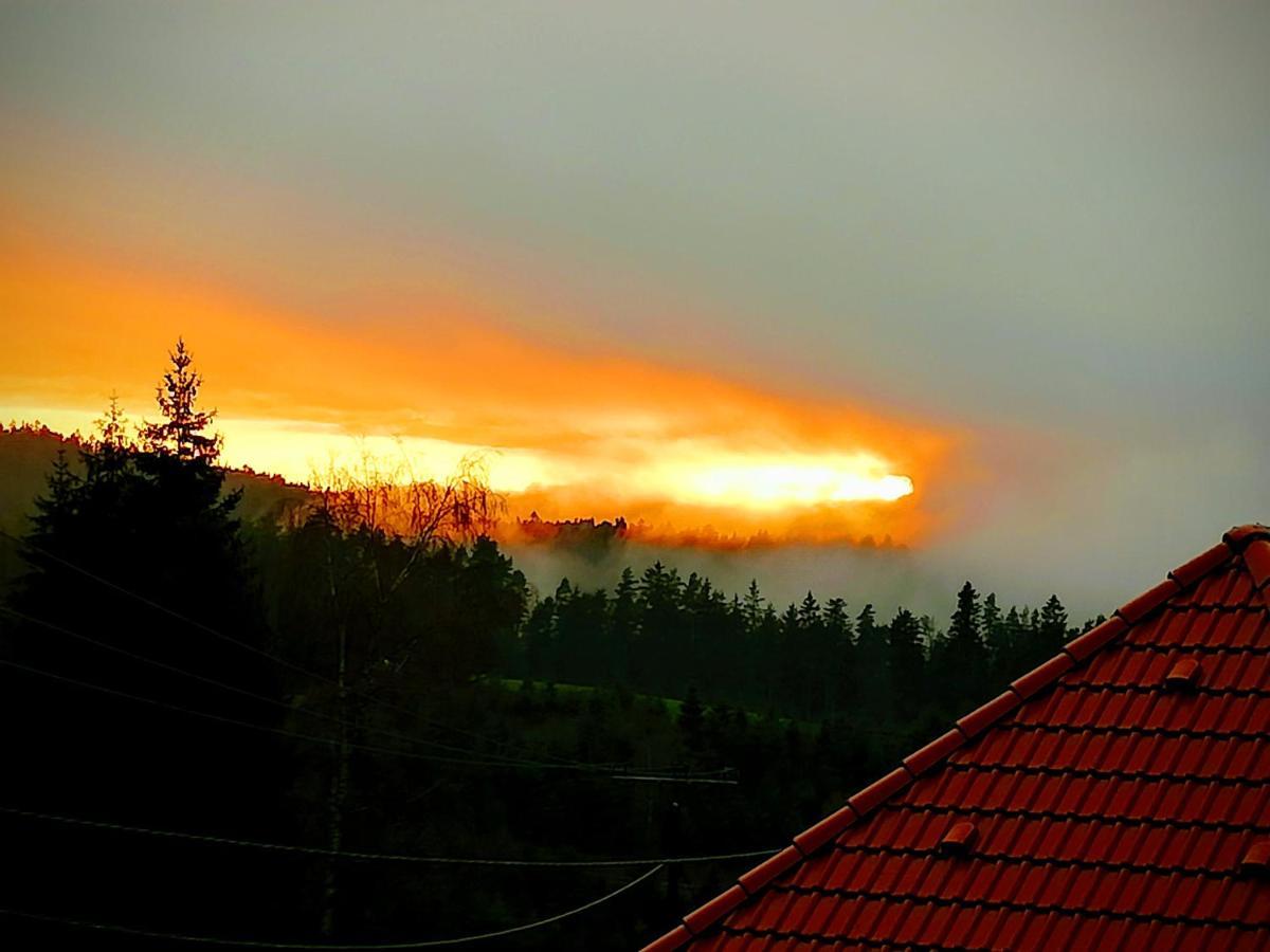 Ferienwohungen Im Kuchersbach 霍恩伯格 外观 照片