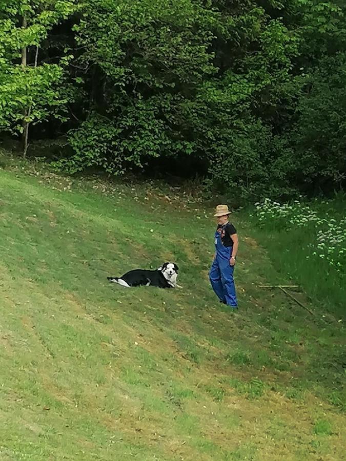 Ferienwohungen Im Kuchersbach 霍恩伯格 外观 照片