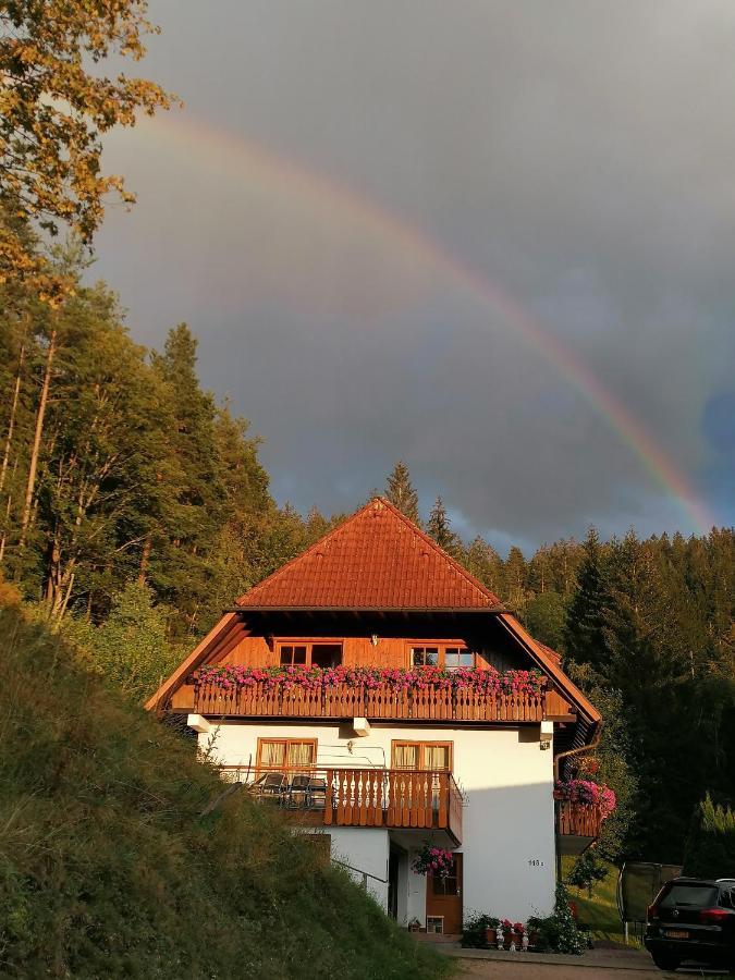 Ferienwohungen Im Kuchersbach 霍恩伯格 外观 照片